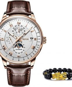 Men Mechanical Watch Top Brand Luxury Automatic Automatic Watches 