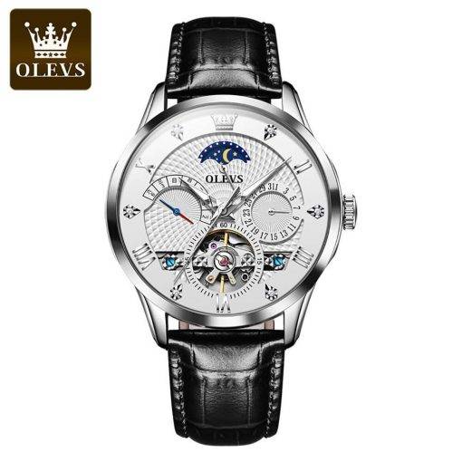 Top Luxury Brand OLEVS Mechanical Watch Luminous Tourbillon Men's Watch Fashion Calendar Multifunction Watch 6652 Automatic Watches