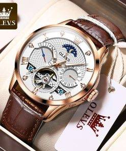Top Luxury Brand OLEVS Mechanical Watch Luminous Tourbillon Men's Watch Fashion Calendar Multifunction Watch 6652 Automatic Watches 