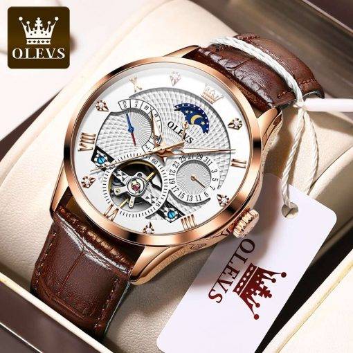 Top Luxury Brand OLEVS Mechanical Watch Luminous Tourbillon Men's Watch Fashion Calendar Multifunction Watch 6652 Automatic Watches